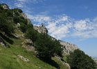 IMG 2647